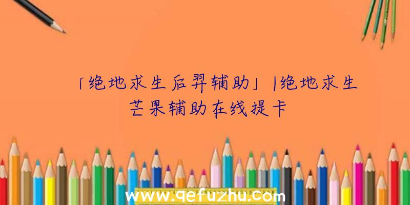 「绝地求生后羿辅助」|绝地求生芒果辅助在线提卡